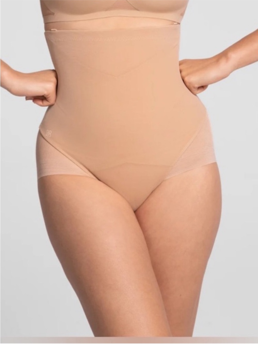 Honeylove High-Waist Shaping Briefs in Blush